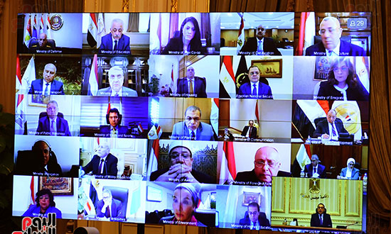 government videoconference meeting - egypt - virtual
