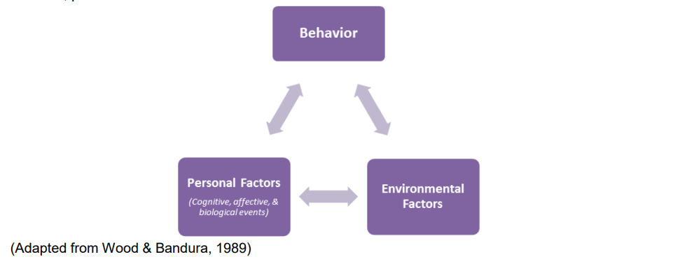 cognitive theory of learning model